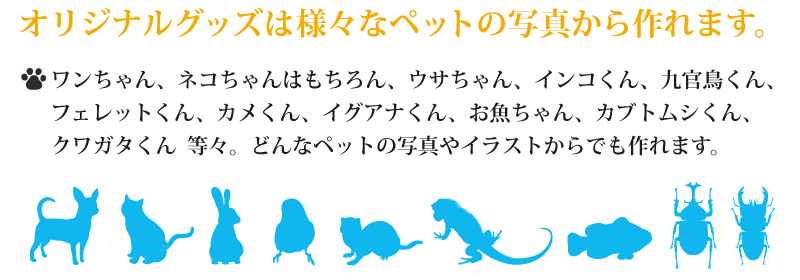 IWiObY쐻Aʃob`}Olbg͗lXȃybg̎ʐ^܂BALAETMACRA㊯AJACOAiAJugVANK^XBǂȃybg̎ʐ^CXgłʃob`}Olbg܂B