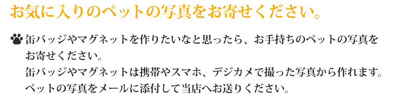 ʃobW}Olbg肽ȂƎvA莝̃ybg̎ʐ^񂹂BʃobW}Olbg͌gтX}zAfWJŎBʐ^܂Bybg̎ʐ^[ɓYtēXւ肭B